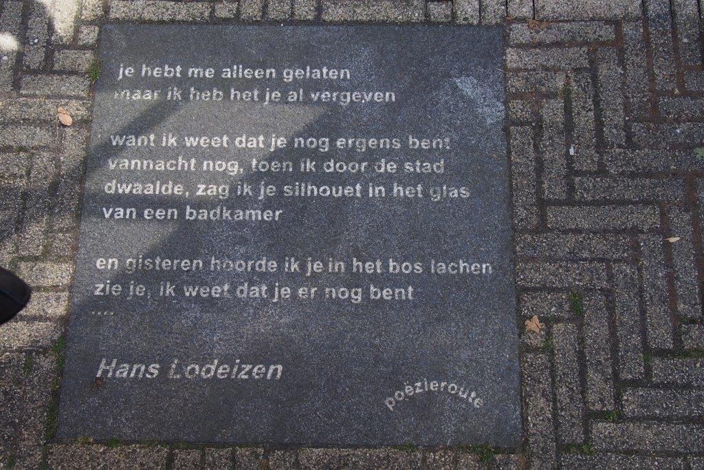 Hans Lodeizen Je Hebt Me Alleen Gelaten